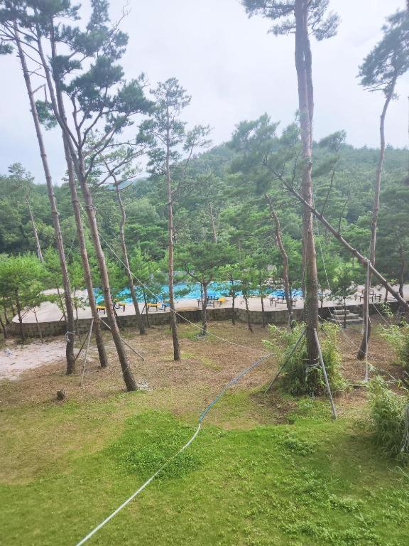 Sokcho Daemyung Heidi Pension Екстер'єр фото